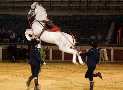 Jerez de la Frontera, Como bailan los caballos andaluces 2013